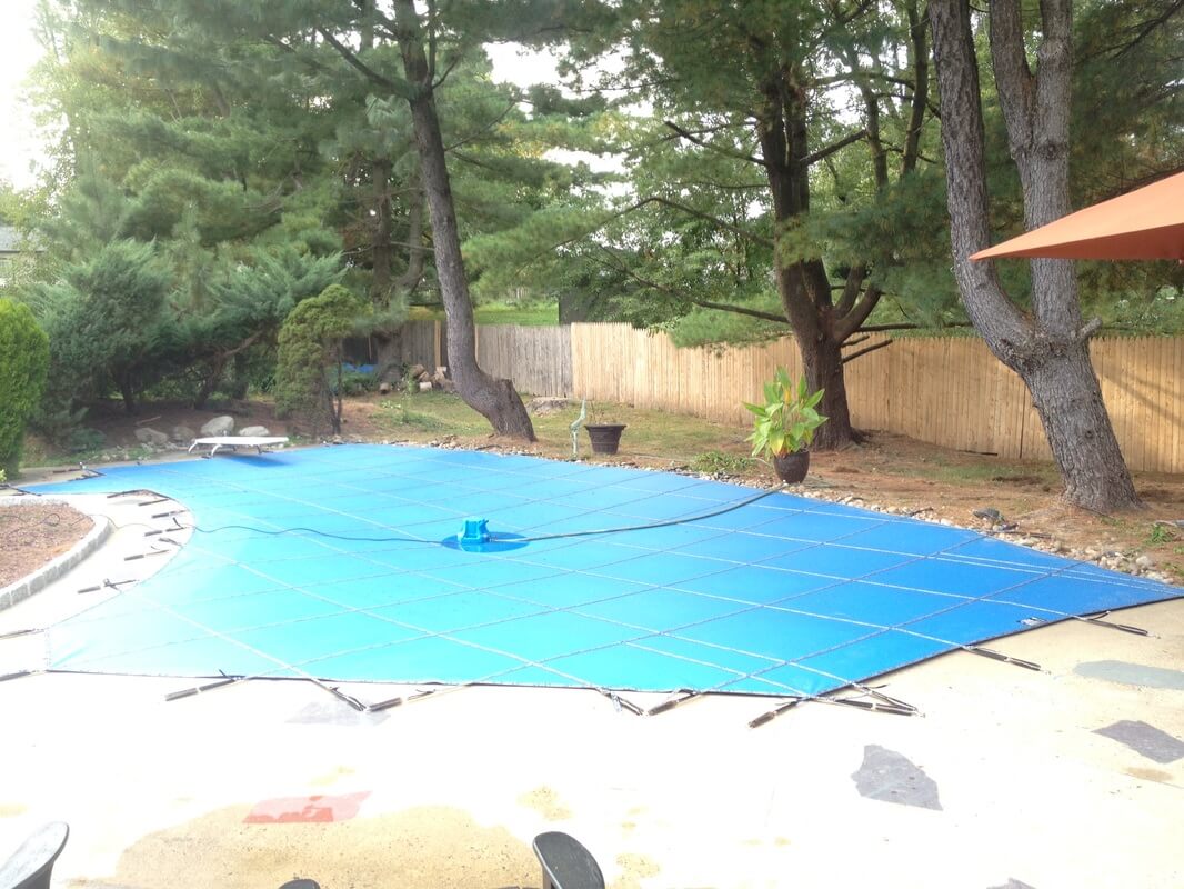 Pool and backyard