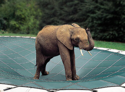 Pool with safety cover